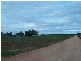 Corner of Vasey Road and Mattner Road, Waikerie SA 5330