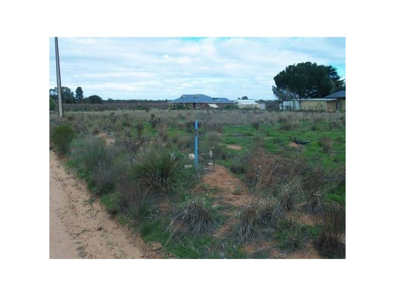 Lot 3 Mattner Road, Waikerie SA 5330