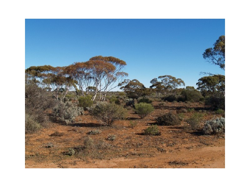 Sect 197 Hundred of Eba, Morgan SA 5320