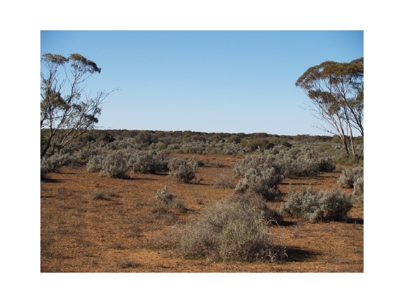 Sect 197 Hundred of Eba, Morgan SA 5320