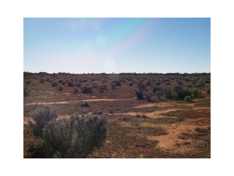 Sect 197 Hundred of Eba, Morgan SA 5320