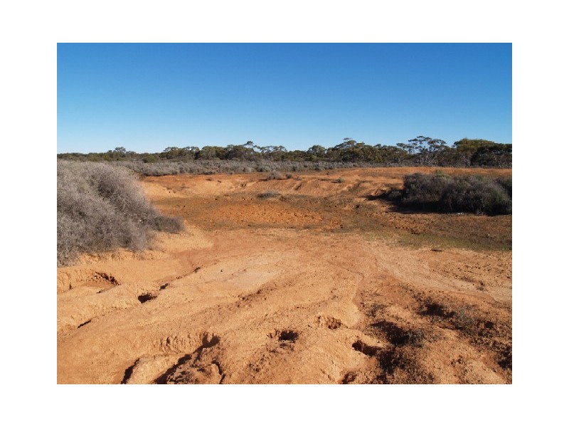 Sect 197 Hundred of Eba, Morgan SA 5320