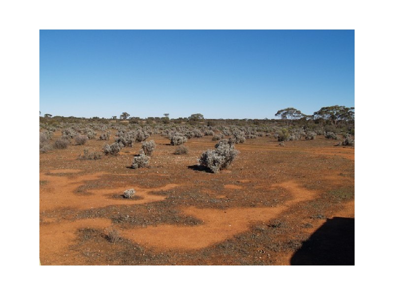 Sect 197 Hundred of Eba, Morgan SA 5320