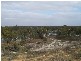 Lot 13 Hundred of Stuart, Morgan SA 5320
