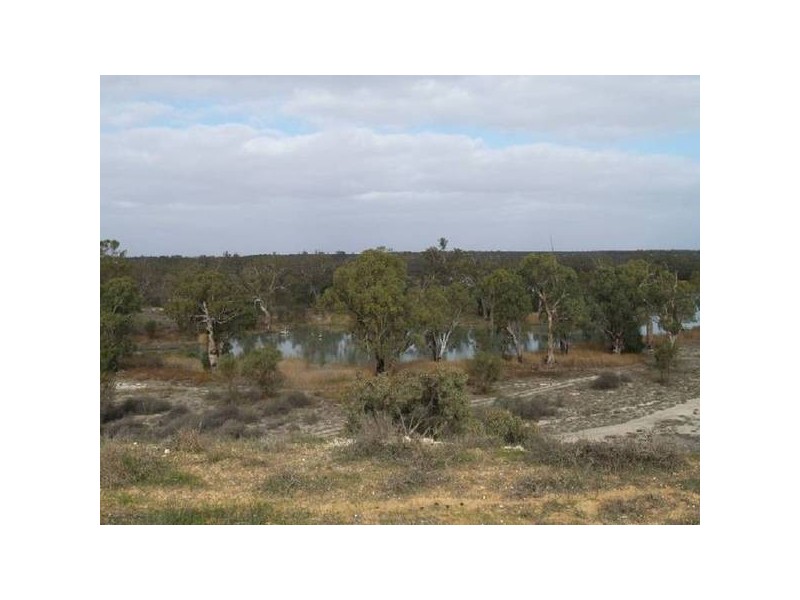Lot 13 Hundred of Stuart, Morgan SA 5320