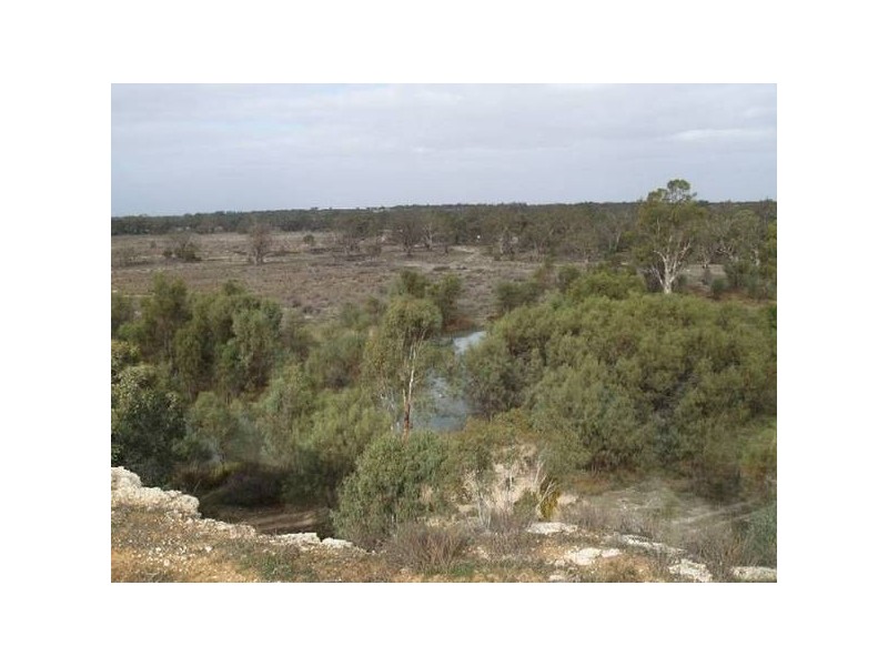 Lot 13 Hundred of Stuart, Morgan SA 5320