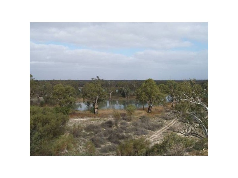 Lot 13 Hundred of Stuart, Morgan SA 5320