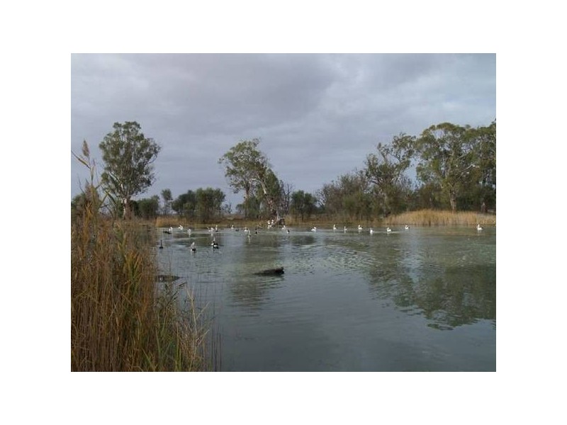 Lot 13 Hundred of Stuart, Morgan SA 5320