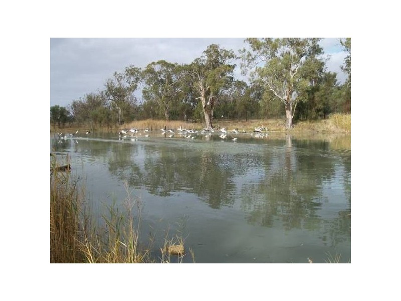 Lot 13 Hundred of Stuart, Morgan SA 5320