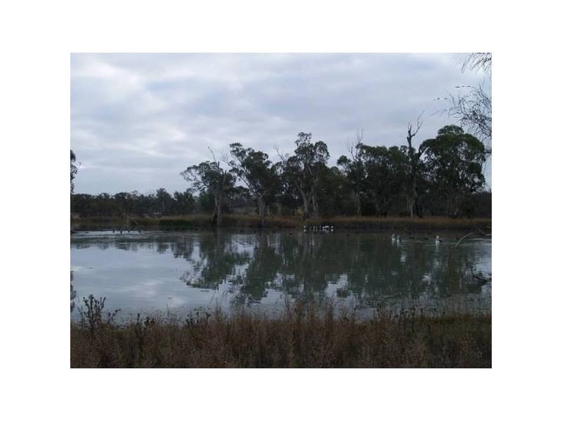 Lot 13 Hundred of Stuart, Morgan SA 5320