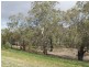 Lot 1 Apold Court, Pine Village, Morgan SA 5320