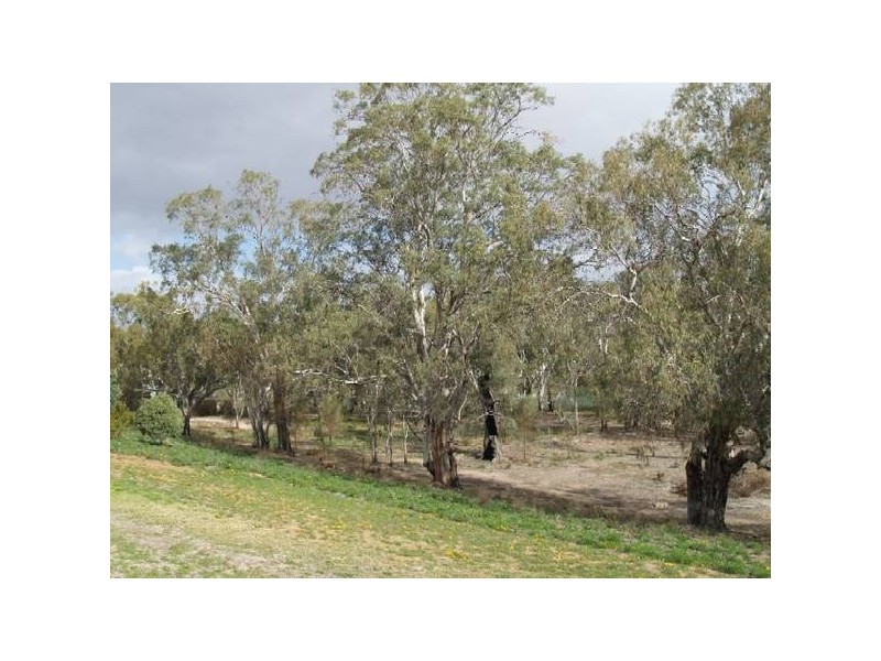 Lot 1 Apold Court, Pine Village, Morgan SA 5320