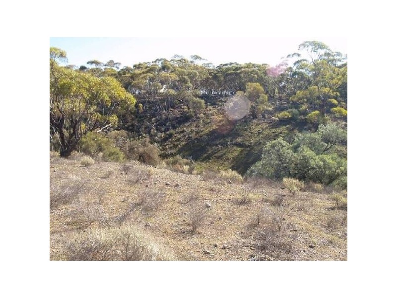 Sect 263 Riverboat Drive, Hogwash via, Cadell SA 5321