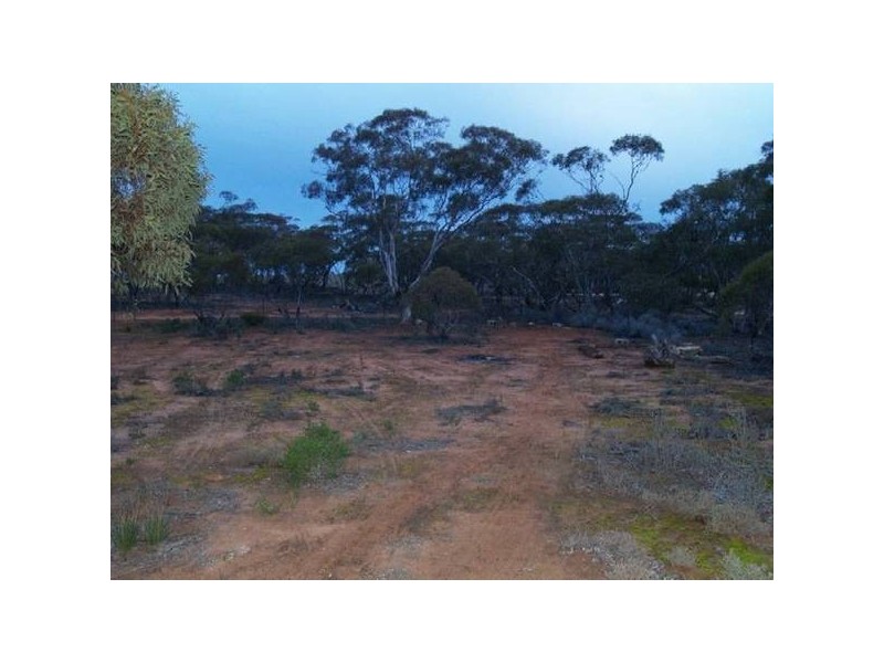 Lot 14 Ridgeway Road, Maggea SA 5308