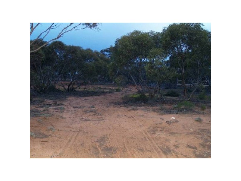 Lot 14 Ridgeway Road, Maggea SA 5308