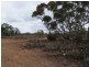 Lot 4 Hundred of Fisher, Swan Reach SA 5354