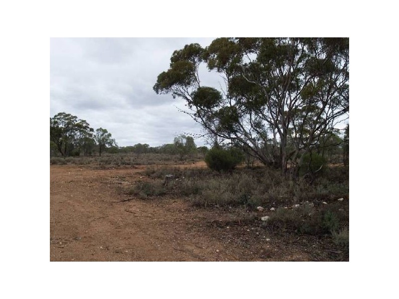 Lot 4 Hundred of Fisher, Swan Reach SA 5354