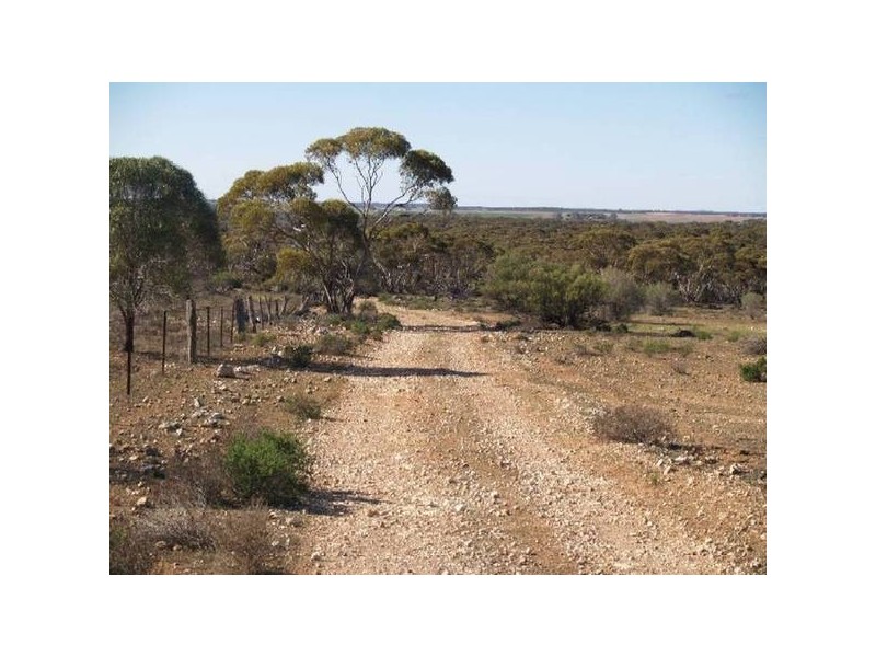 Sect 296 Hundred of Eba, Morgan SA 5320