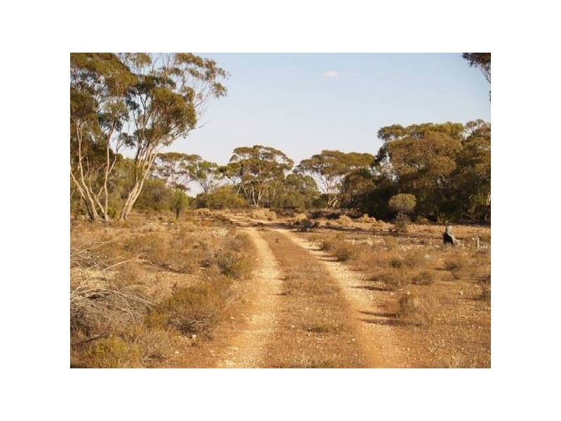 Sect 296 Hundred of Eba, Morgan SA 5320