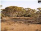 Sect 296 Hundred of Eba, Morgan SA 5320