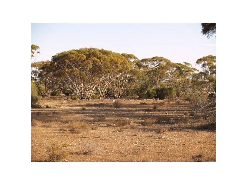 Sect 296 Hundred of Eba, Morgan SA 5320