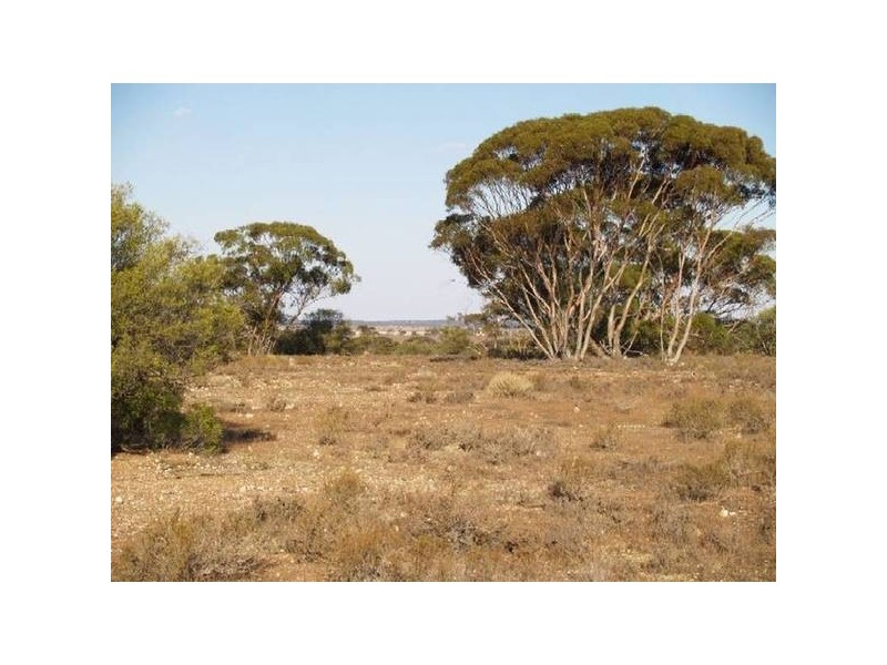 Sect 296 Hundred of Eba, Morgan SA 5320