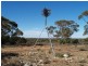 Sect 296 Hundred of Eba, Morgan SA 5320