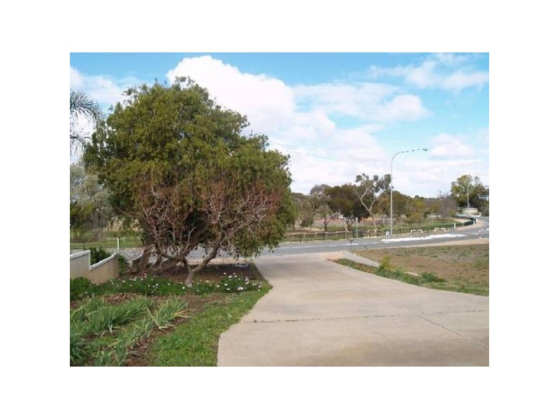 52 Lawrie Terrace, Waikerie SA 5330