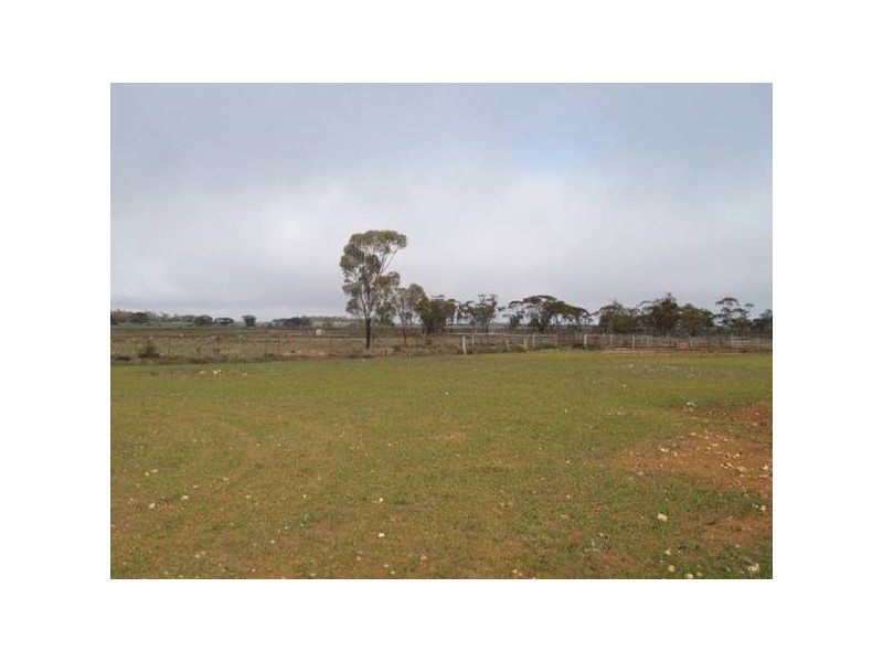 368 369 Cadell Irrigation Area, Cadell SA 5321