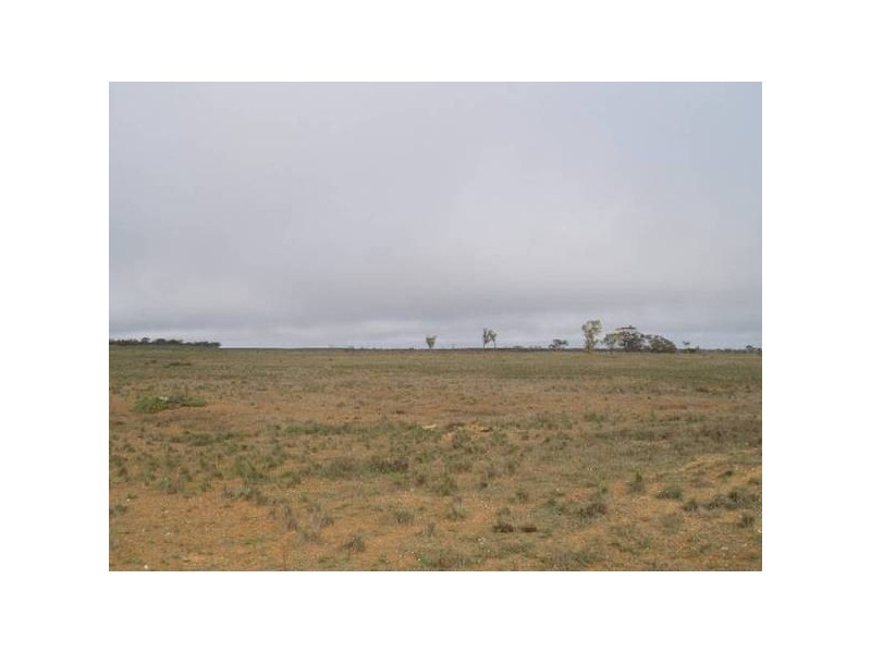 368 369 Cadell Irrigation Area, Cadell SA 5321