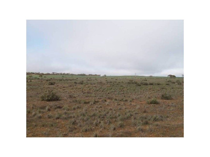 368 369 Cadell Irrigation Area, Cadell SA 5321