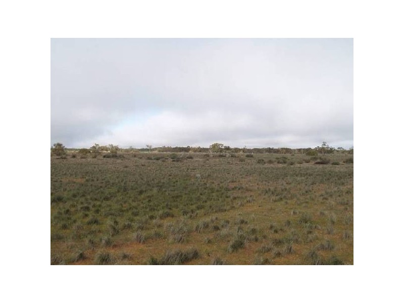 368 369 Cadell Irrigation Area, Cadell SA 5321