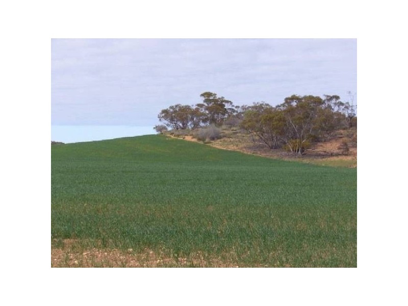 368 369 Cadell Irrigation Area, Cadell SA 5321