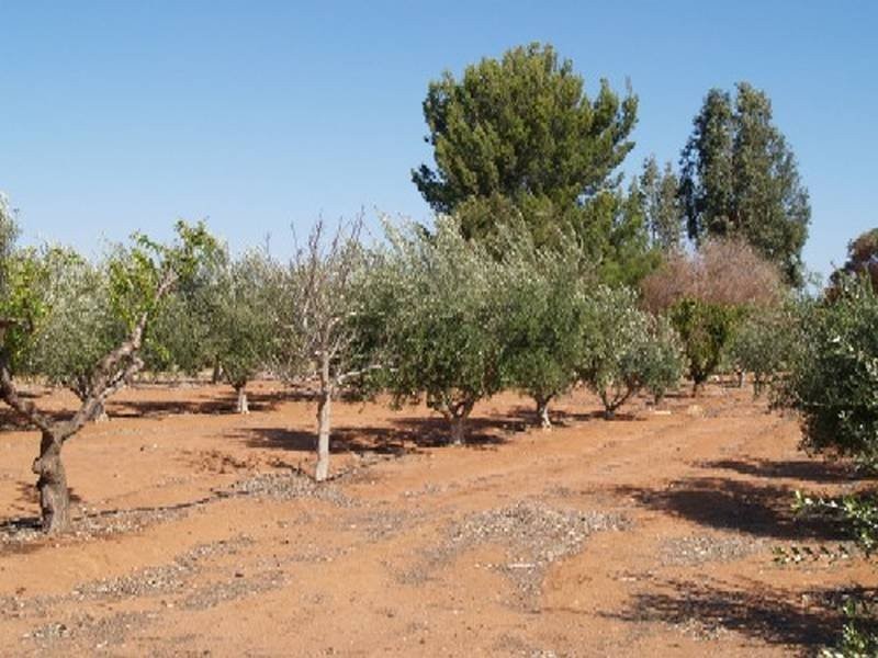 Lot 184 Hill Road, Sunlands SA 5322