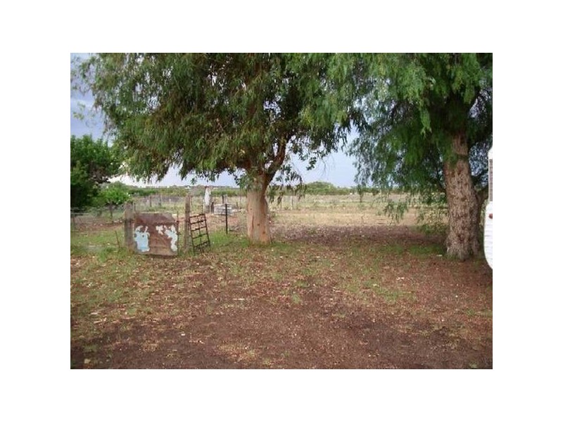 Sect 186 Coats Road, Cadell SA 5321