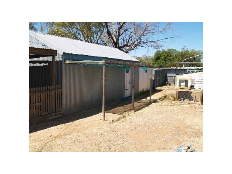 4 Nicol Crescent, Waikerie SA 5330