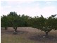 Lot 125 Cox Road, Sunlands SA 5322