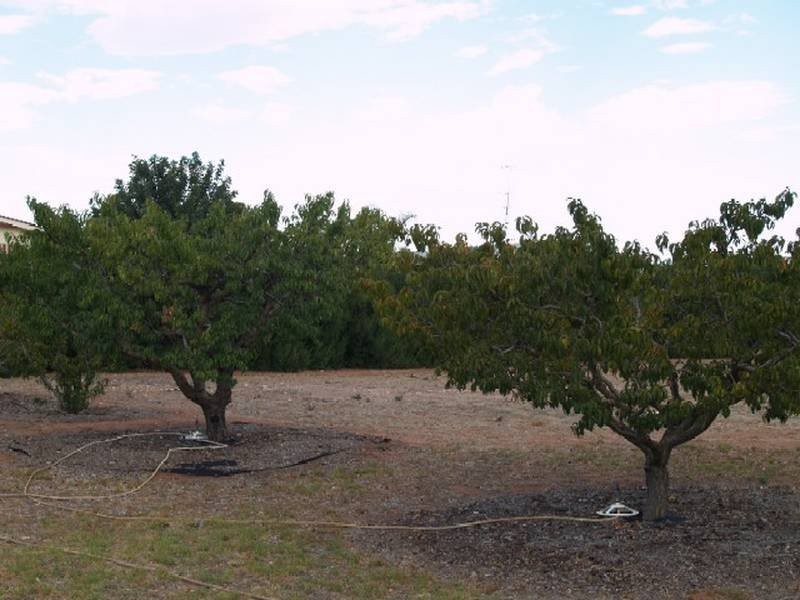 Lot 125 Cox Road, Sunlands SA 5322