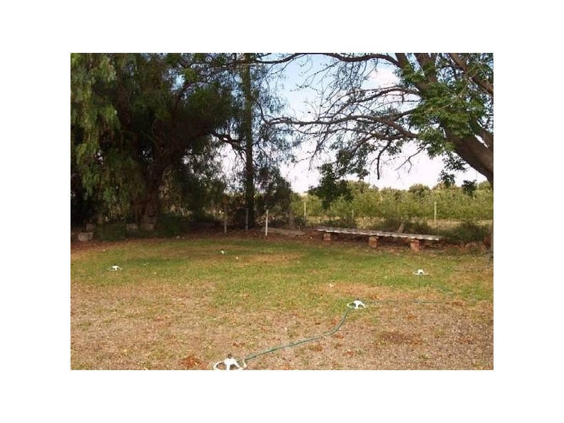 Sect 295 Hundred of Cadell, Murbko SA 5320