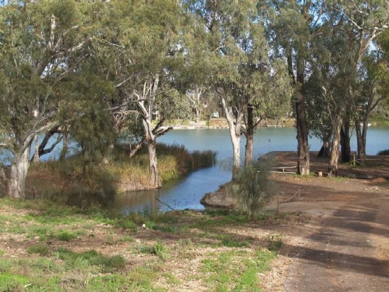 Lot 1 Apold Court, Pine Village, Morgan SA 5320