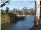 Lot 1 Apold Court, Pine Village, Morgan SA 5320