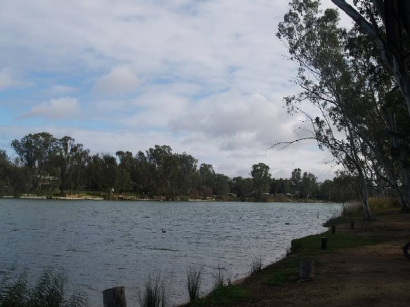 Lot 1 Apold Court, Pine Village, Morgan SA 5320