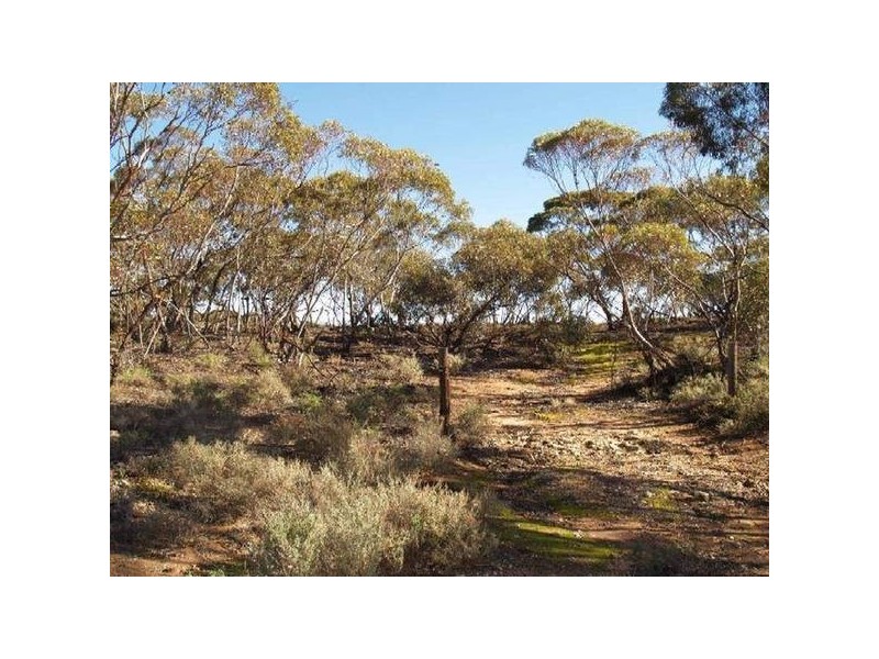 Sect 263 Riverboat Drive, Hogwash via, Cadell SA 5321