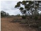 Lot 4 Hundred of Fisher, Swan Reach SA 5354