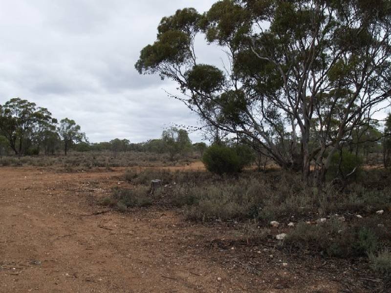 Lot 4 Hundred of Fisher, Swan Reach SA 5354