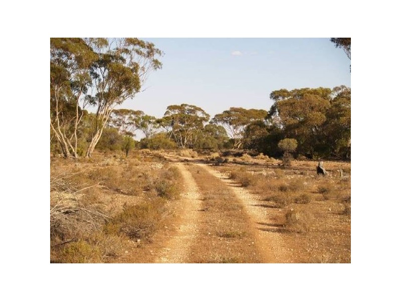 Sect 296 Hundred of Eba, Morgan SA 5320