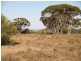 Sect 296 Hundred of Eba, Morgan SA 5320