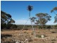 Sect 296 Hundred of Eba, Morgan SA 5320