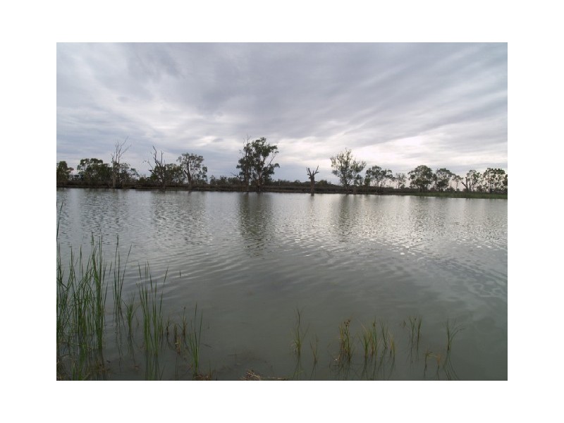 Sect 197 Loxton Road, New Residence, Loxton SA 5333