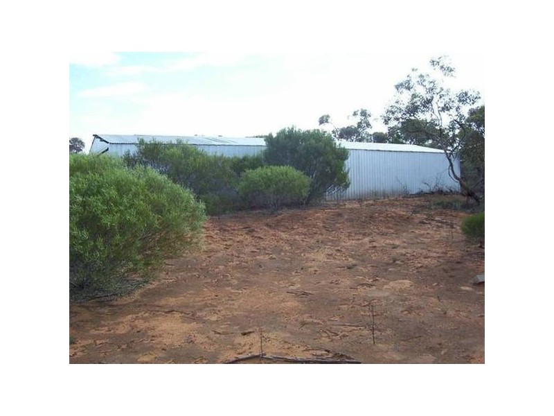 Lot 2 Caddy Road, Loveday SA 5345